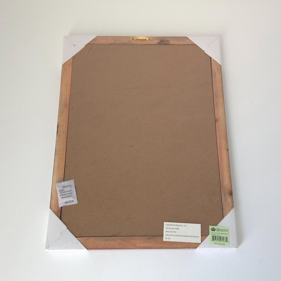 NWT Red Christmas Cardinal Bird Rustic Framed Christian Wall Art- 12 x 16 - Picture 3 of 4